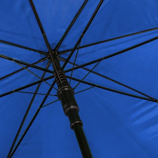 Umbrellas frame